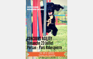 Concours Agility 2017