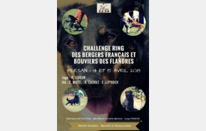Challenge Ring Berger Français