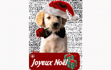 Fermeture du club pendant les fêtes du 22/12 au 29/12 inclus