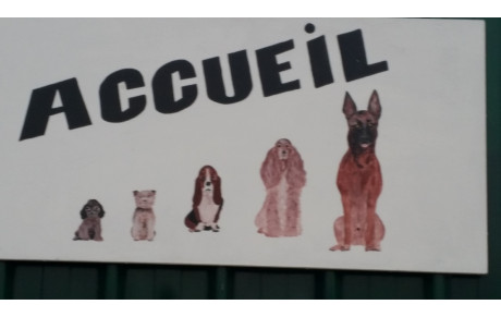 Ecole des chiots et Cours d'éducation