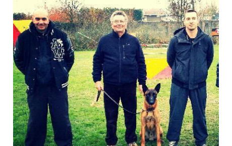 Titre de Champion Régional en Ring pour Michel David et Goliath des Gardiens d'Athena