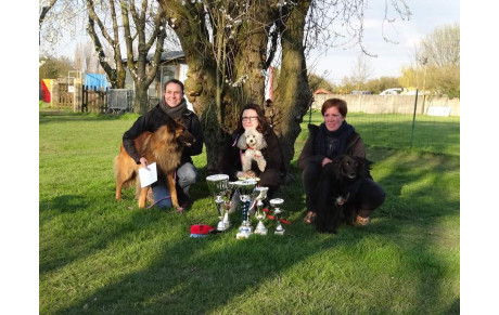 Concours Agility Goussainville 