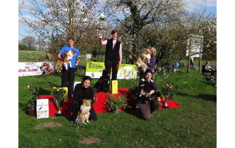 Magalie Gueguen et Cassis Championnes Régional Agility 2015 