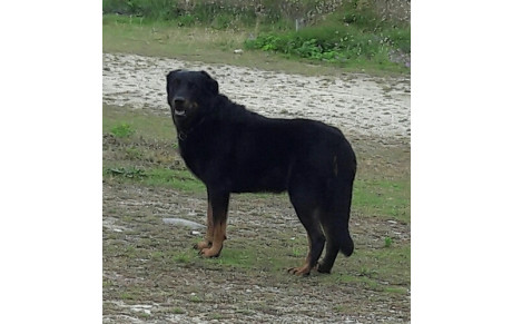 Green II confirme son titre de Champion de France 