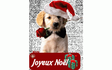 Fermeture du club pendant les fêtes du 22/12 au 29/12 inclus