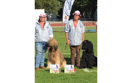 Le  CCVO présnt au Grand Prix SCC à Calais !