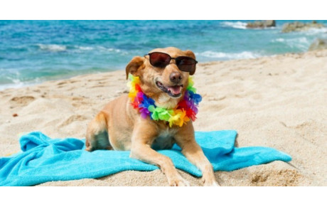 Fermeture du club au mois d'août