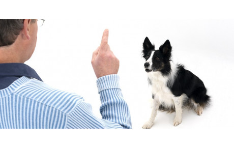 Passage du CSAU 2017