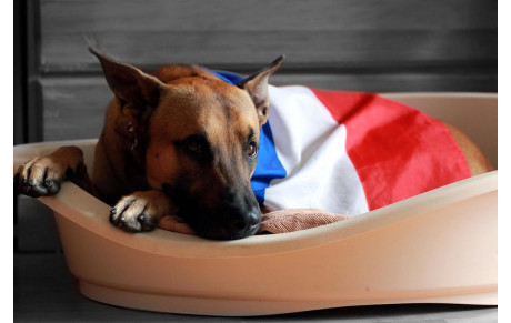 Club fermé le Samedi 11 Novembre