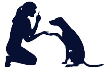 Vous souhaitez devenir moniteur(trice) en éducation canine ? 