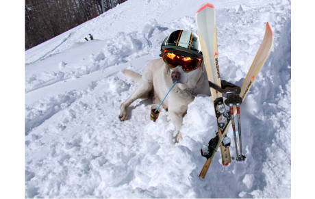 Cours annulés le  samedi 10 Février