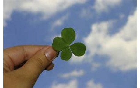 Bonne année à tous !