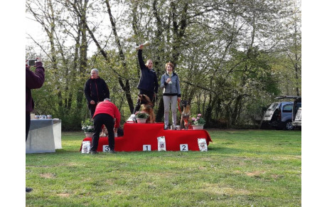 Stéphanie et Holly gagnent le Championnat Régional Agility