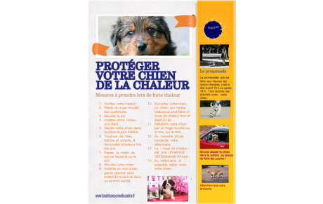 Canicule - club fermé le samedi 29 juin