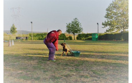 Pas de cours le samedi 28 septembre