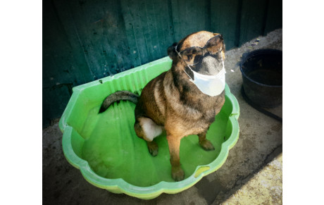 Fermeture estivale 2020